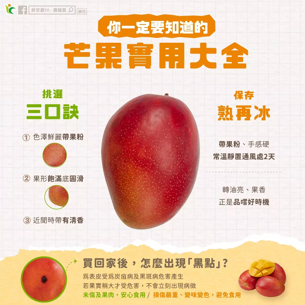芒果怎麼挑不踩雷?3訣竅報你知 511751351 1040461801565783 1927927149065319416 n