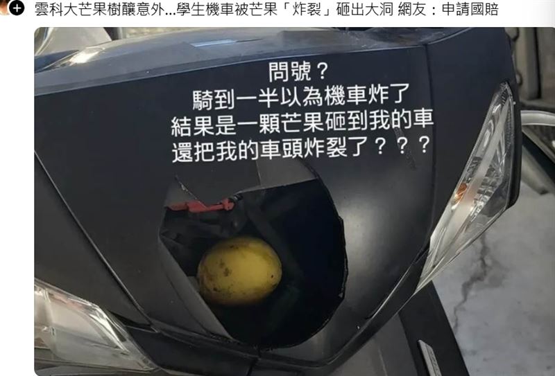 有空襲!雲科大芒果變炸彈 學生機車頭被砸出大洞