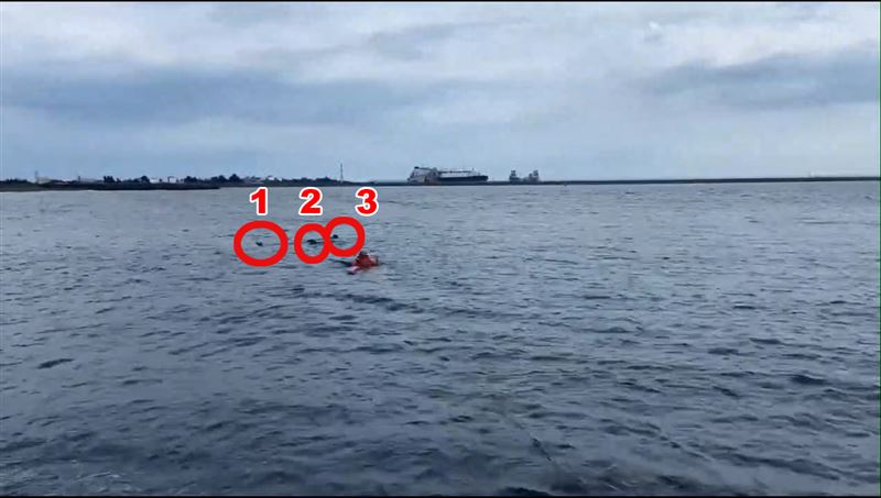 遭3狗下水咬 老翁送醫不治