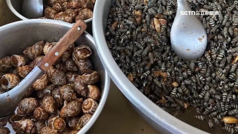 颱風毀南鯤鯓代天府牌樓 網友關心:燒酒螺還在嗎?