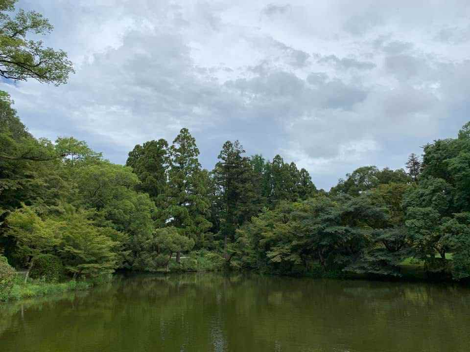副刊/兩座植物園 55Fdqw