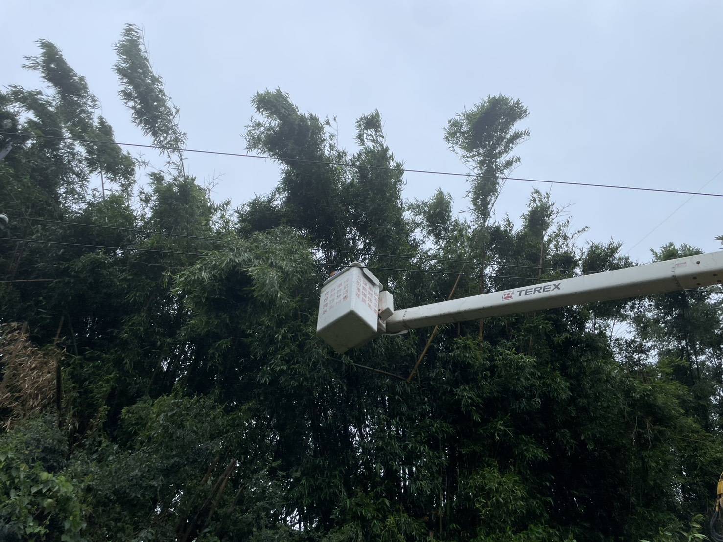 颱風釀桃園停電破2萬戶 台電出動143人力迅速復電 698213 0