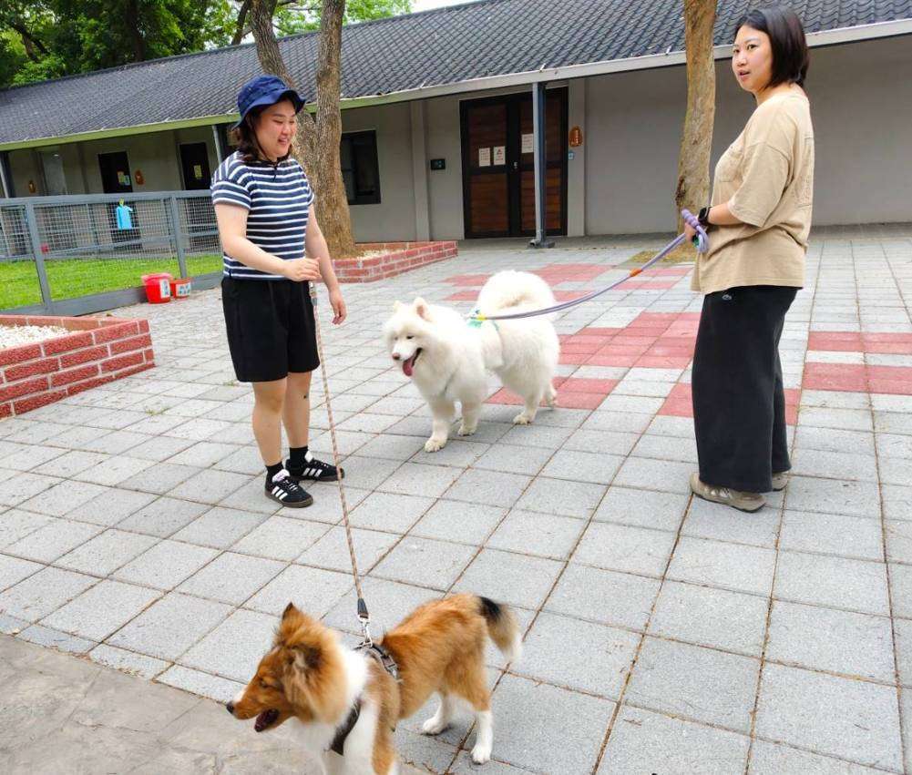 桃園動保處7/27舉辦寵物嘉年華 帶毛小孩打狂犬病疫苗、做健檢 876649 0