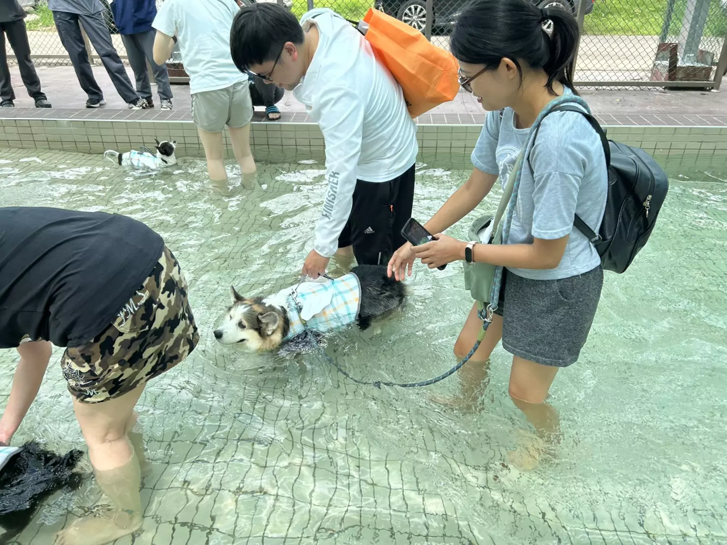 全台第一座公立寵物戲水池在桃園 採線上預約制 881171 0