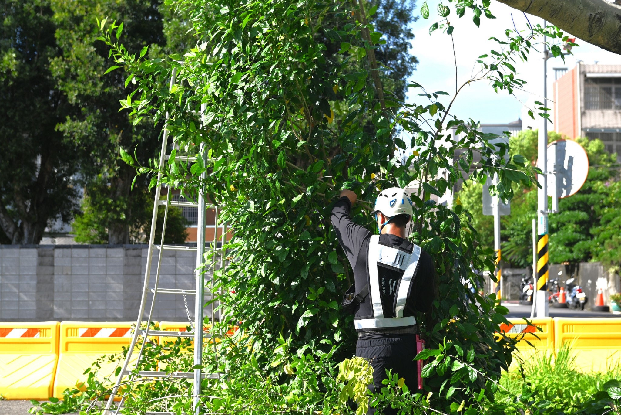 「丹娜絲」逼近台灣 桃園環保局強化防颱整備 954286 0