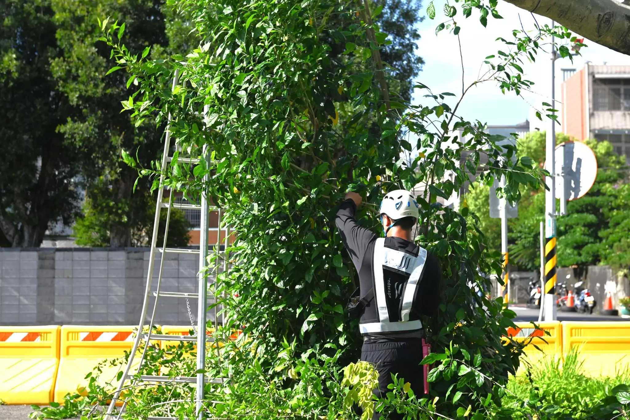 「丹娜絲」逼近台灣 桃園環保局強化防颱整備 954286 0