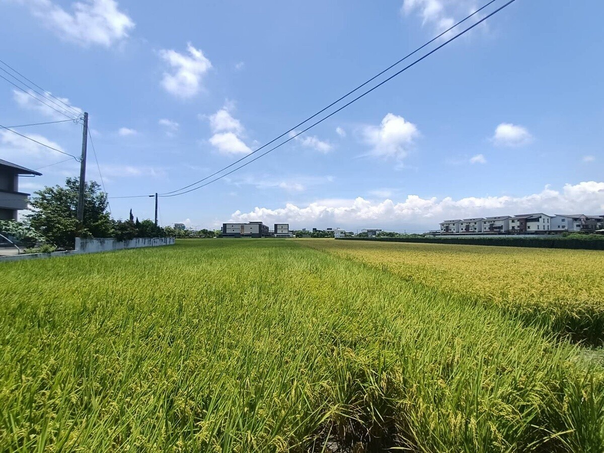 3次轉手被墊高600萬!他揭露宜蘭農地價格「只漲難跌」內幕