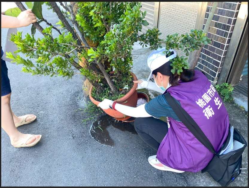 暑假出國夯!桃園衛生局提醒加強防蚊措施 預防登革熱 S 146325561