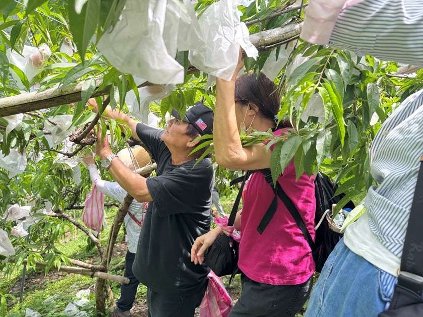 參加就抽觀巴行程、飯店住宿!桃園「探索北橫」17遊程帶你避暑 S 19578916 0
