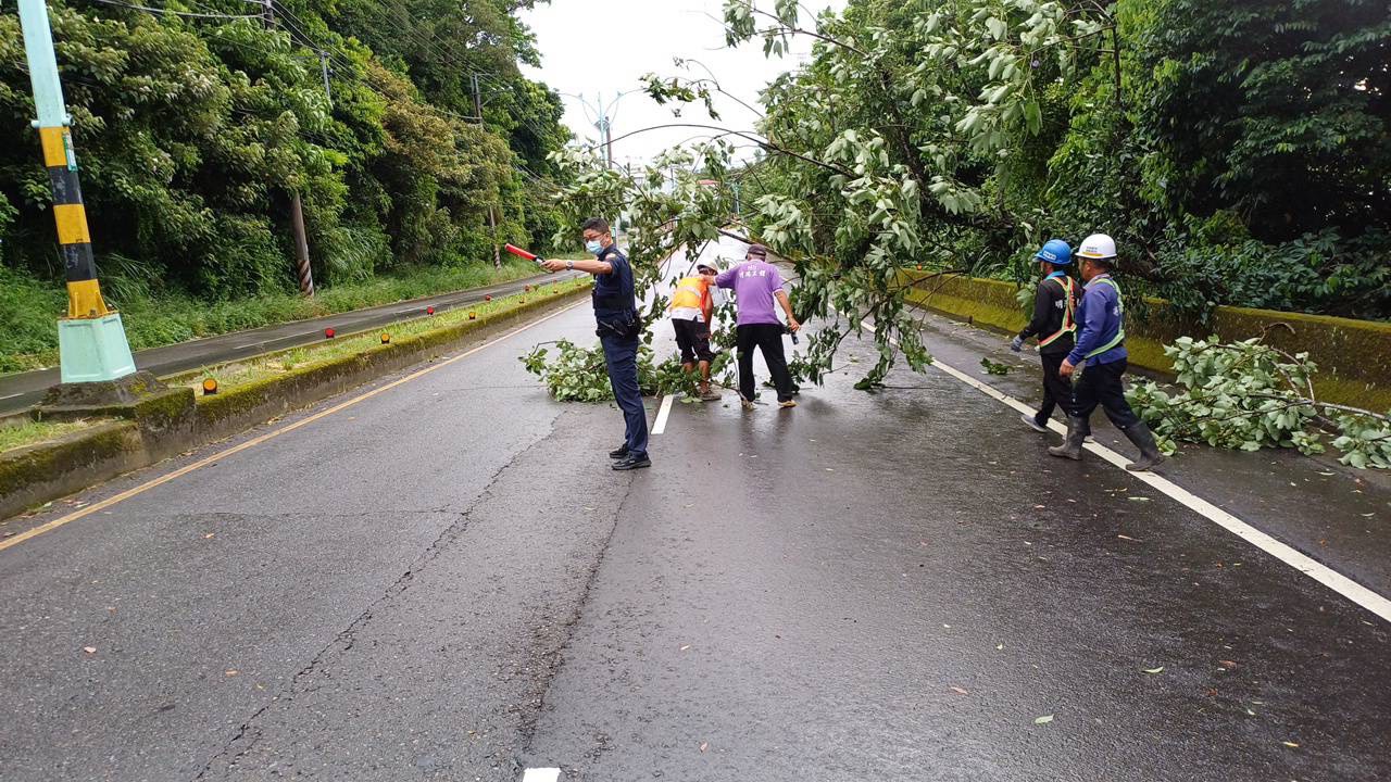 丹娜絲吹倒路樹 龍潭警及時排除恢復道路通行 S 4816935 0