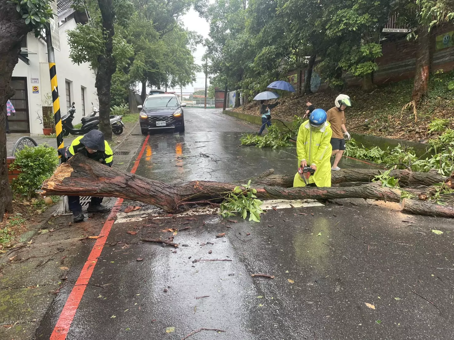 不敵丹娜絲颱風 楊梅路樹橫躺路中阻通行 不敵丹娜絲颱風 楊梅路樹橫躺路中阻通行