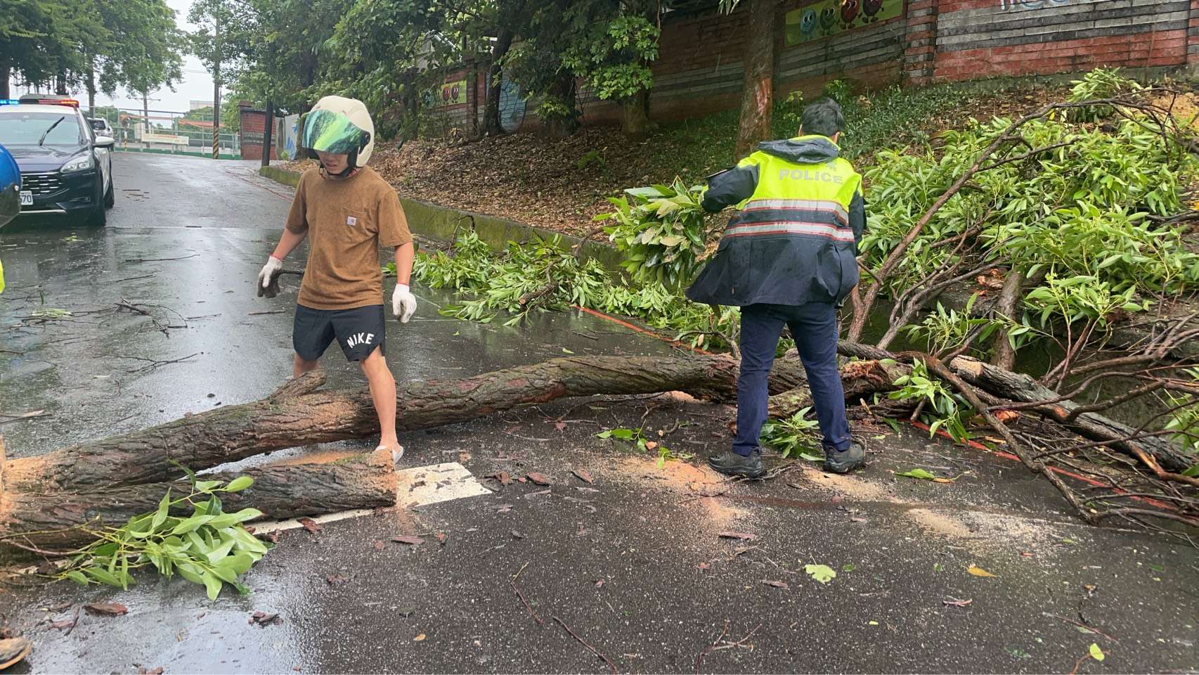 不敵丹娜絲颱風 楊梅路樹橫躺路中阻通行 S 75128922 0