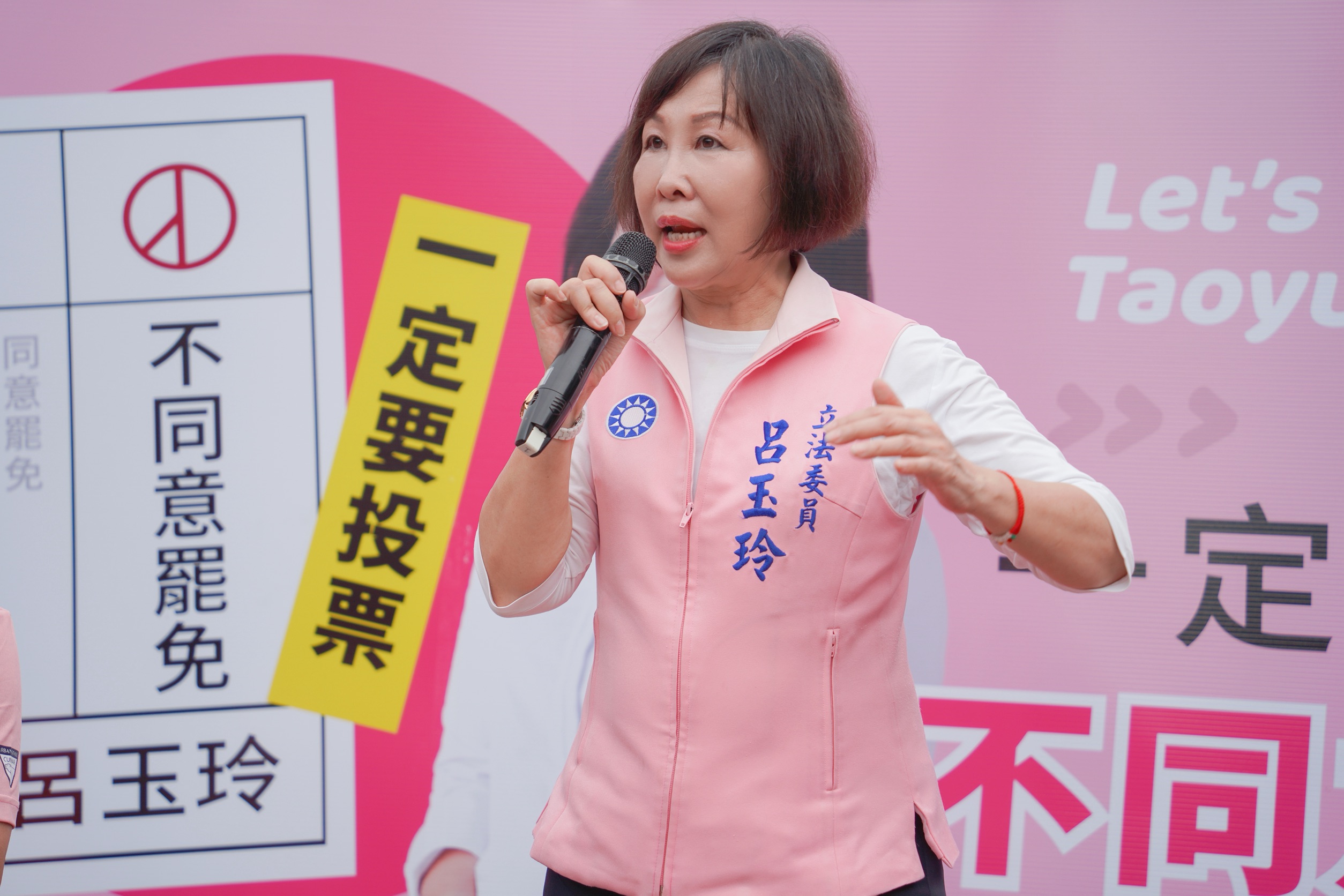 呂玉玲平鎮反惡罷造勢 趙少康站台批仇恨動員 S 76881978 0
