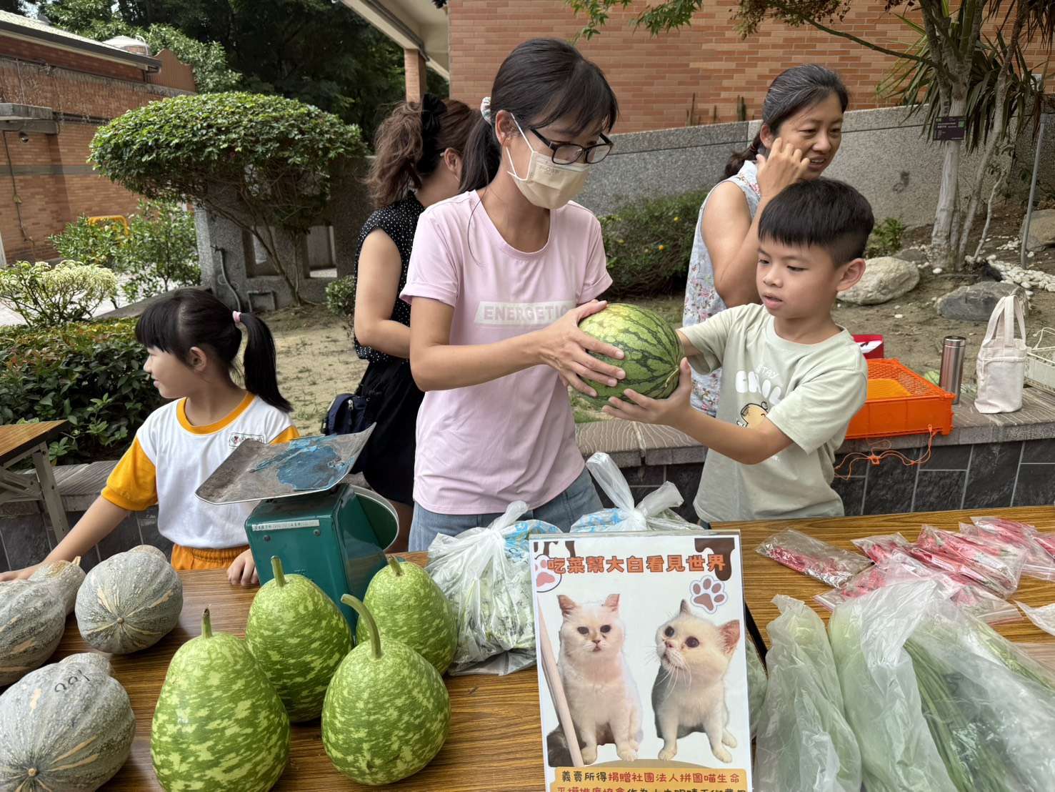 桃園建德國小師生校門口賣菜 為視障貓咪募款動手術 建德國小03 0