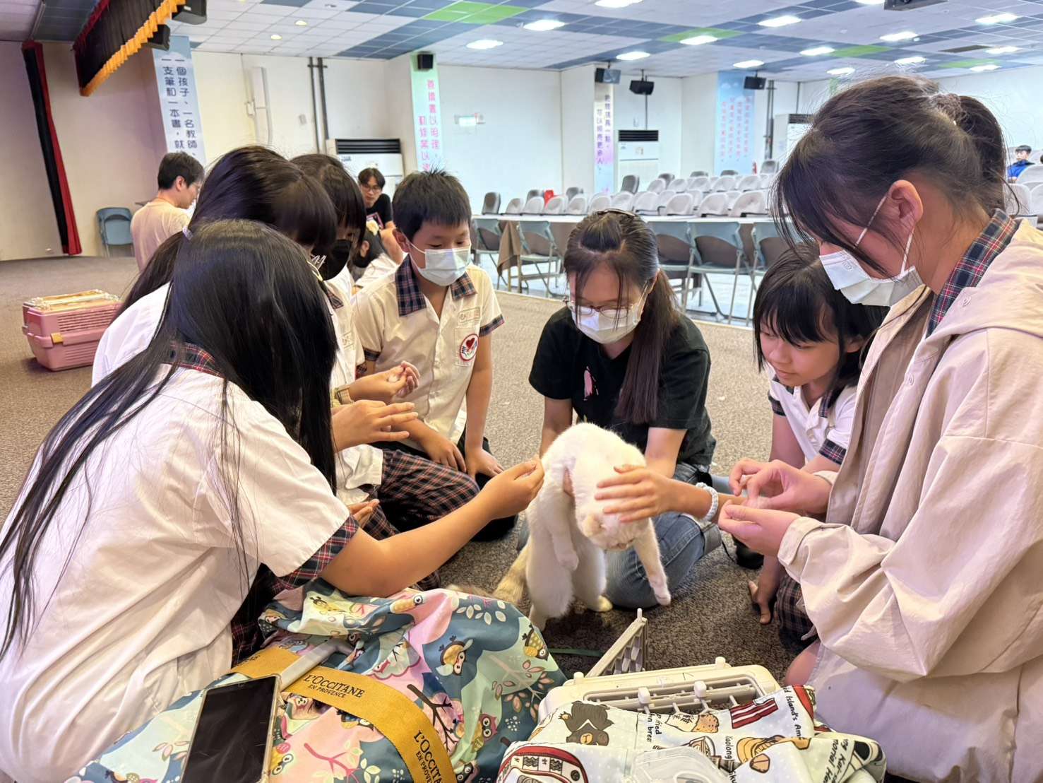 桃園建德國小師生校門口賣菜 為視障貓咪募款動手術 建德國小06 0