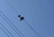 桃園龜山高壓電塔命案 遺體掛20層樓高電線死者身分待查