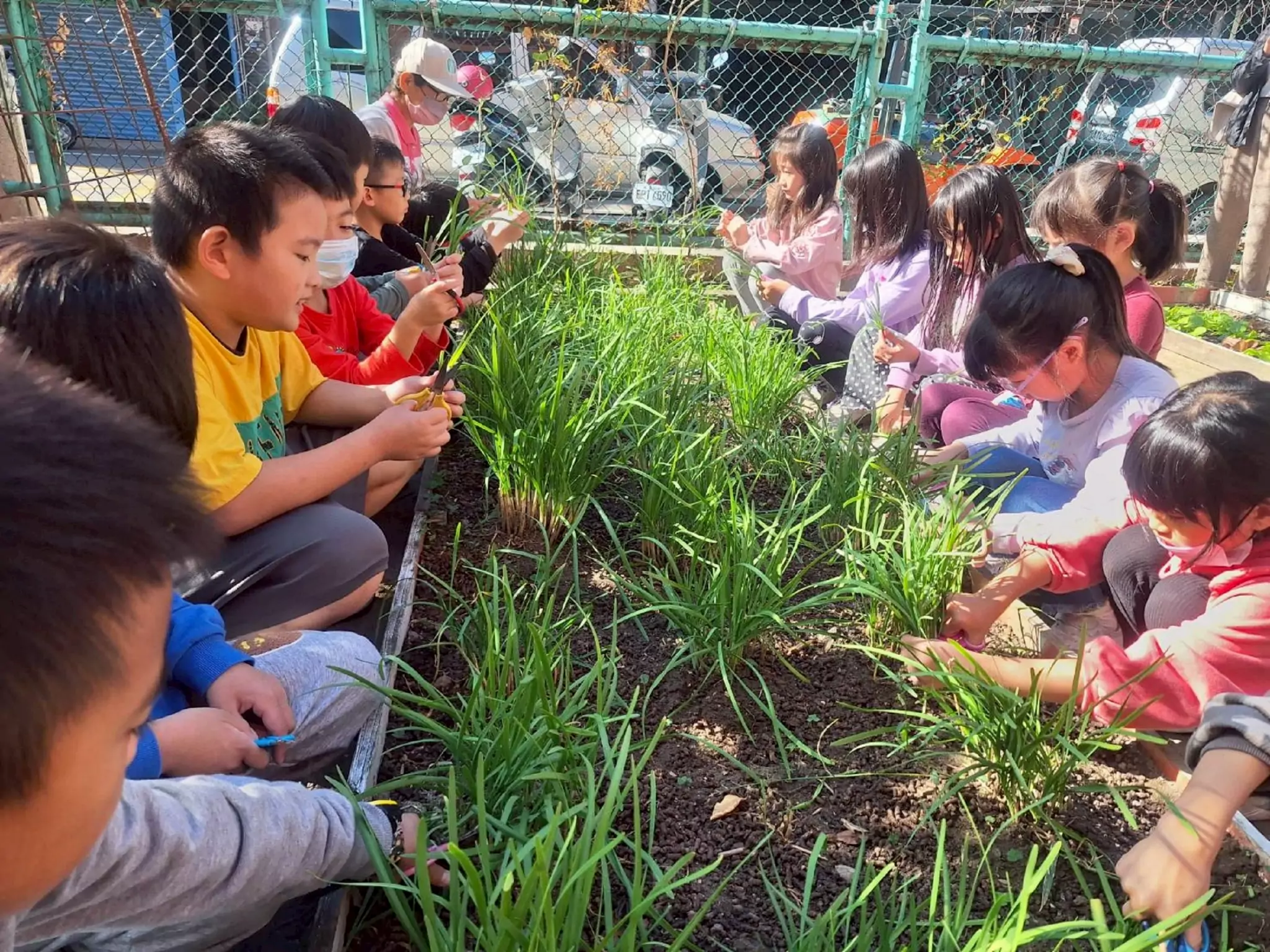 桃園市府持續升級免費營養午餐 多管齊下守護學子飲食安全 桃園市府持續升級免費營養午餐 多管齊下守護學子飲食安全