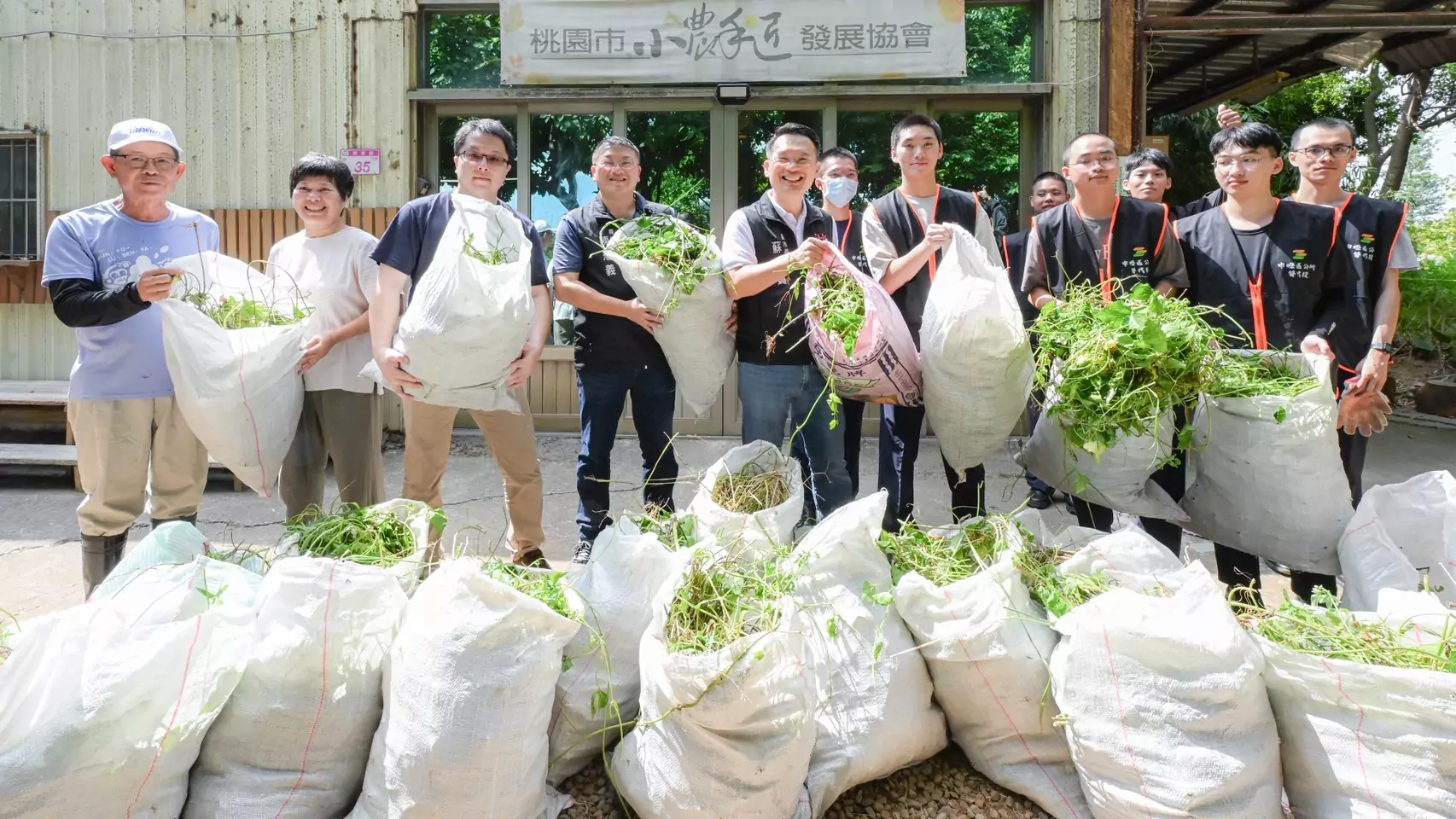 小花蔓澤蘭繁殖力驚人 蘇俊賓號召社區齊心守護生態環境 小花蔓澤蘭繁殖力驚人 蘇俊賓號召社區齊心守護生態環境