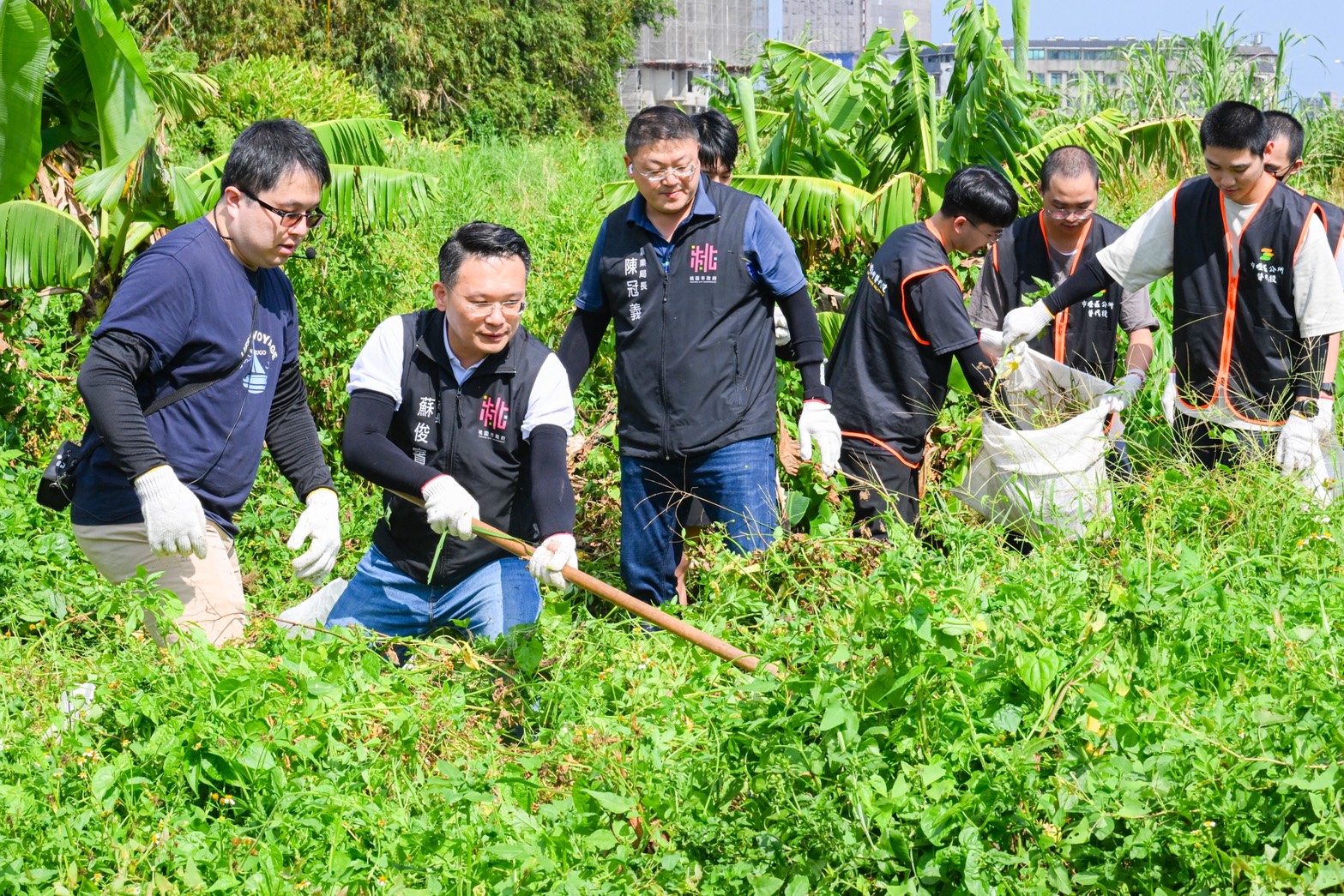小花蔓澤蘭繁殖力驚人 蘇俊賓號召社區齊心守護生態環境 237044 0
