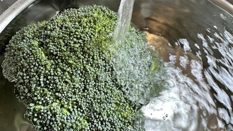 青花菜易藏菜蟲 蔬果行教你這樣洗