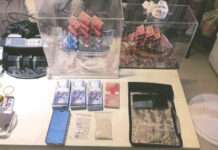 跨幫派合作!假投資詐騙狠撈逾7300萬 警逮17人、查扣精品豪車