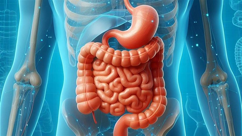 太陽曬太少 維他命D不足易得腸癌