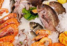 塑膠微粒加速人體衰老!醫師警告:少吃這海鮮