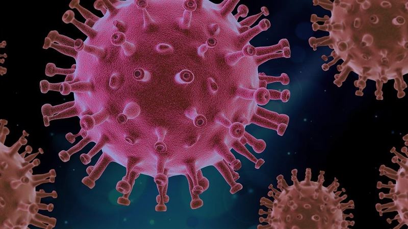 感冒病毒恐喚醒癌細胞?醫師這樣說