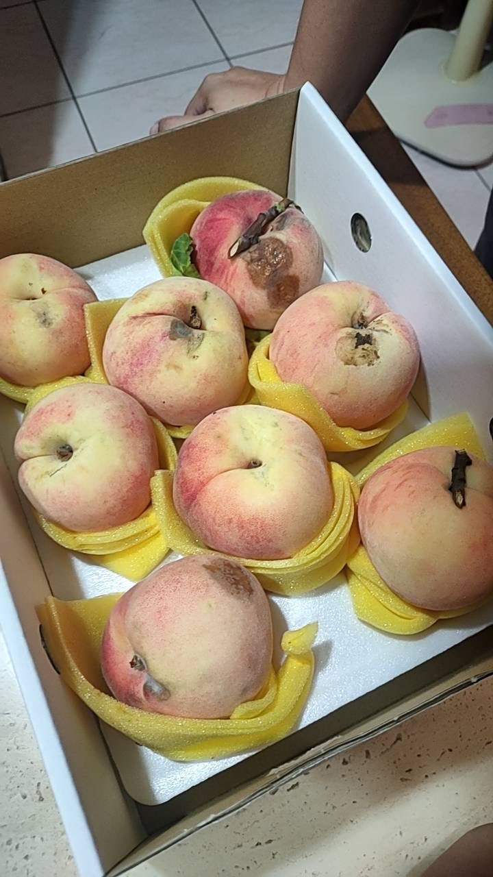買32顆拉拉山水蜜桃僅1/4能吃!民眾怒:太相信老闆 515437358 24736349069290487 497850358466957576 n