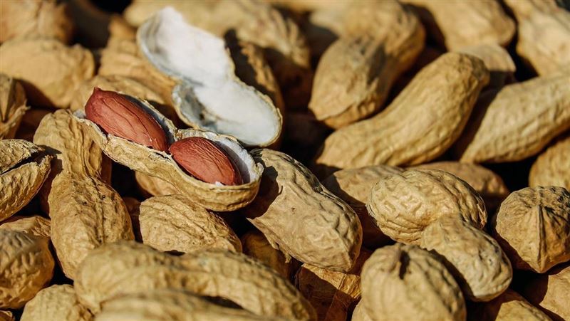 高溫烹煮也難以去除!這些食物容易藏黃麴毒素