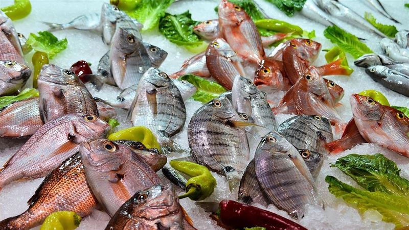 醫建議這些海鮮少吃 遠離塑膠微粒