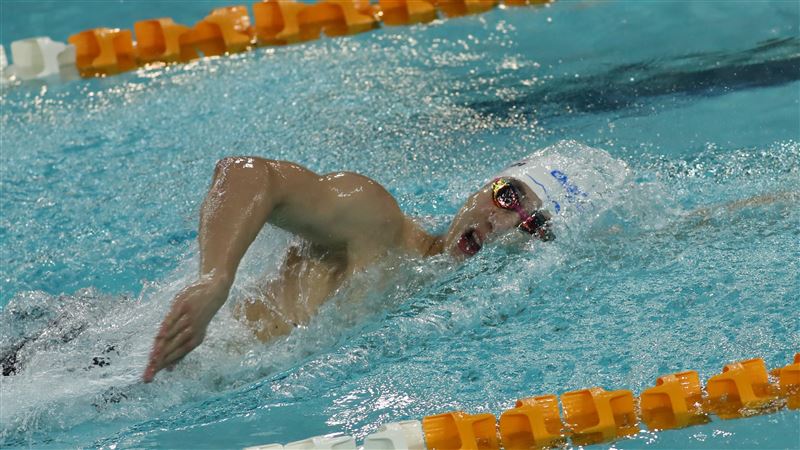 台灣代表隊角逐香港公開游泳錦標賽 單日襲捲6金7銀3銅