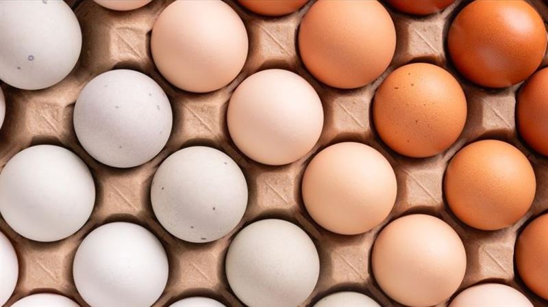 買蛋3大迷思曝光 蛋行親自解惑
