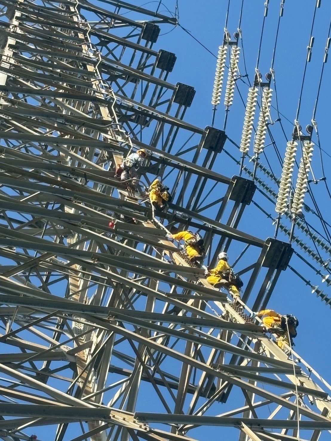 528789515 1422940339097226 3557487464403007817 n