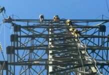 泰籍移工詭死高壓電塔 桃園特搜爬20層樓高搬運遺體