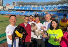 桃園樂天棒球場寵物友善專區啟用!設降噪、降溫設施提升毛孩舒適度