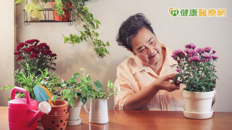 76歲嬤揮別老年憂鬱 「綠色處方箋」找回活著理由