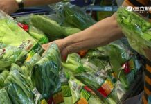 買不起新鮮葉菜類 營養師:冷凍蔬菜也營養