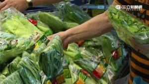 買不起新鮮葉菜類 營養師:冷凍蔬菜也營養