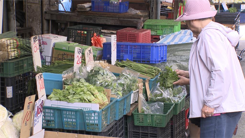 7月物價走高 蔬菜機票雙漲重擊荷包