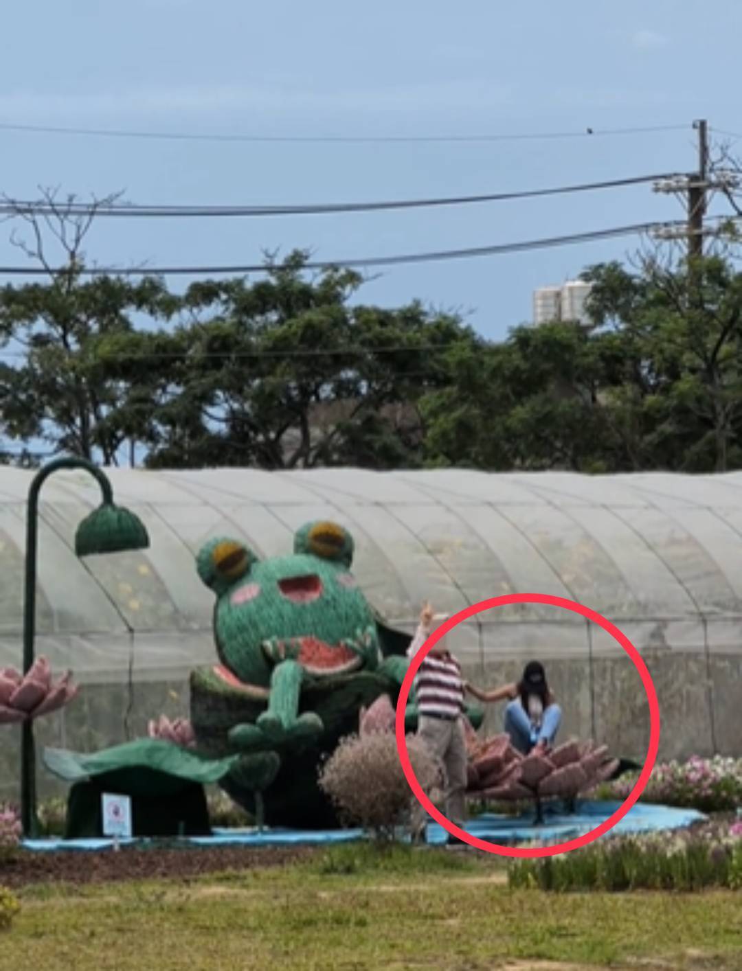 桃園蓮花季裝置藝術遭攀爬拍照 農業局籲民眾注意安全勿違規 885012