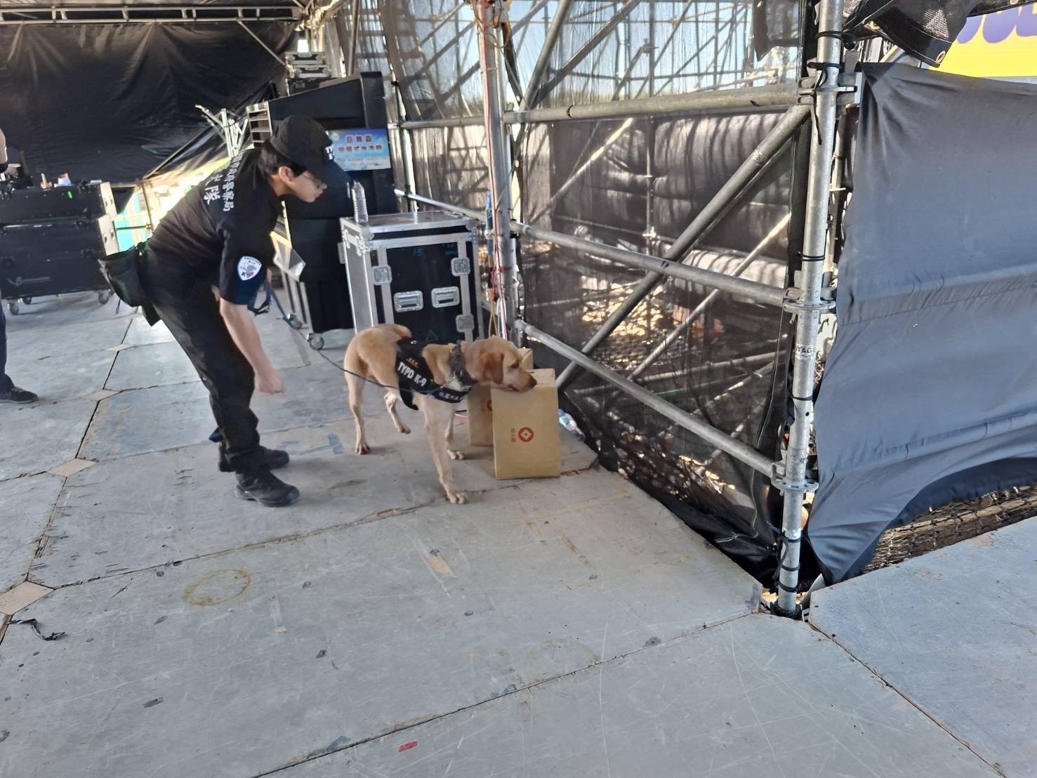 桃園警犬前進珍珠海岸國際音樂節 確保活動順利進行 S 20291601 0