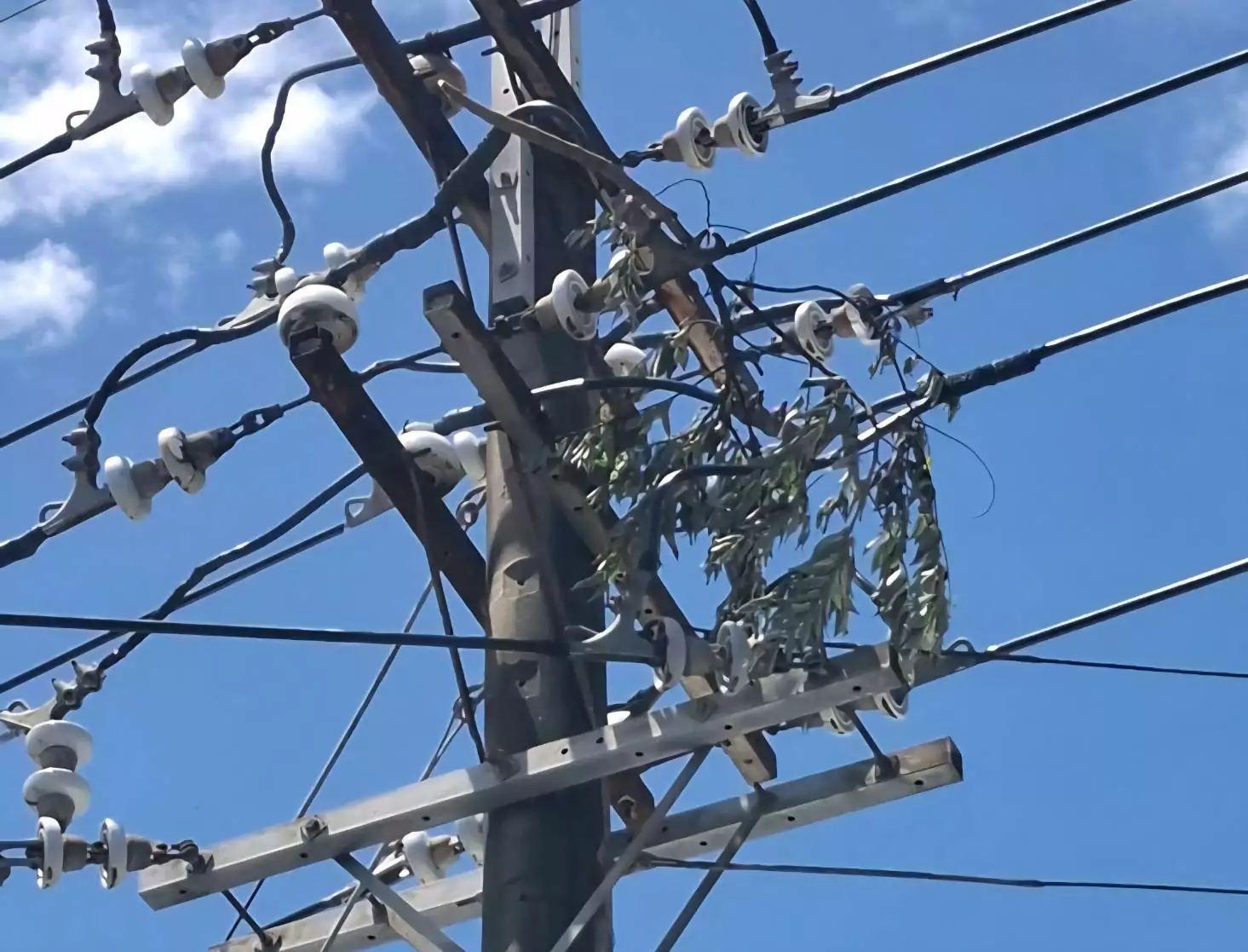 楊柳颱風釀桃園5.8萬戶停電!台電曝搶修進度 S 77586485