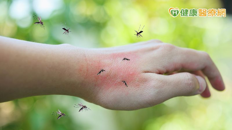 境外移入瘧疾+1 專家籲:出國前至門診諮詢並做好防蚊措施