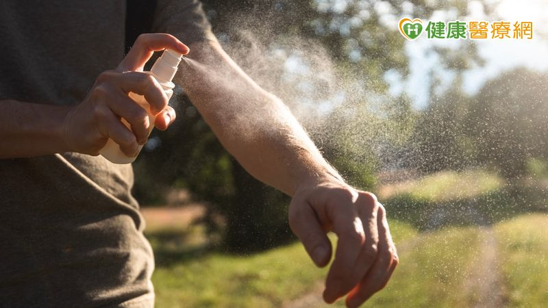 今年首起本土登革熱群聚現蹤高雄 疾管署籲:雨後落實防蚊