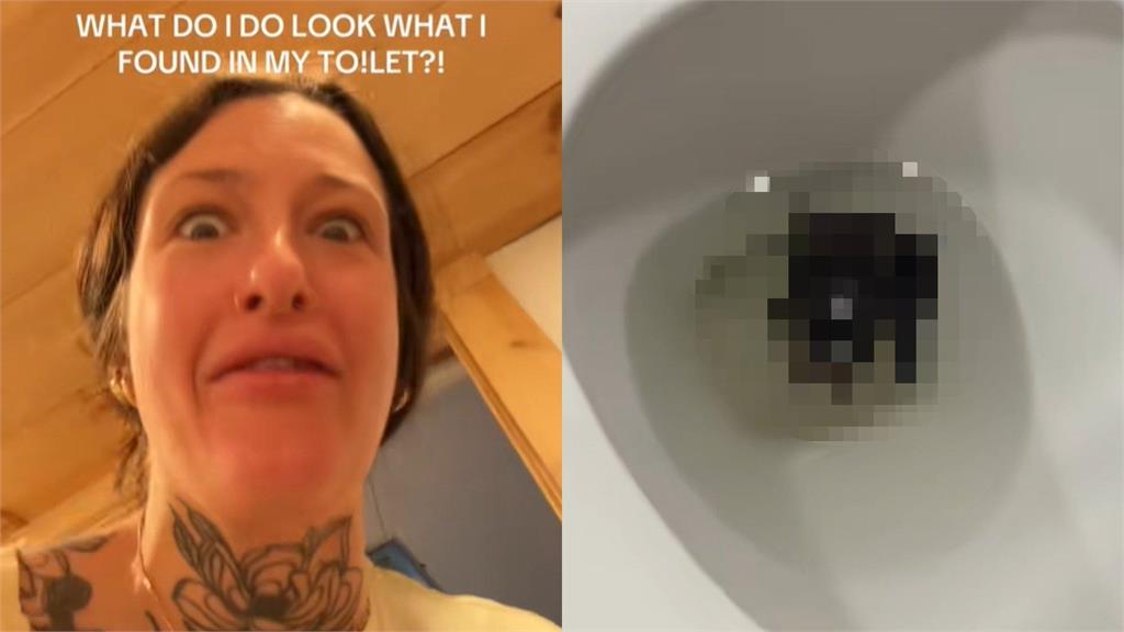 馬桶驚見蝙蝠 網喊:快去看醫生