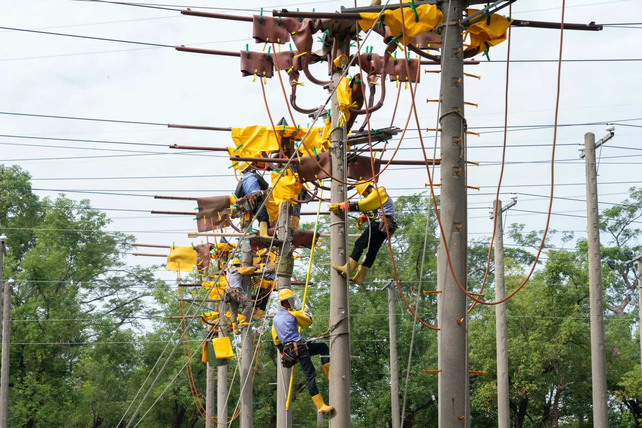 台電招募電力新血!獎學金甄選9/1開放報名 最高領40萬 台電招募電力新血!獎學金甄選9/1開放報名 最高領40萬