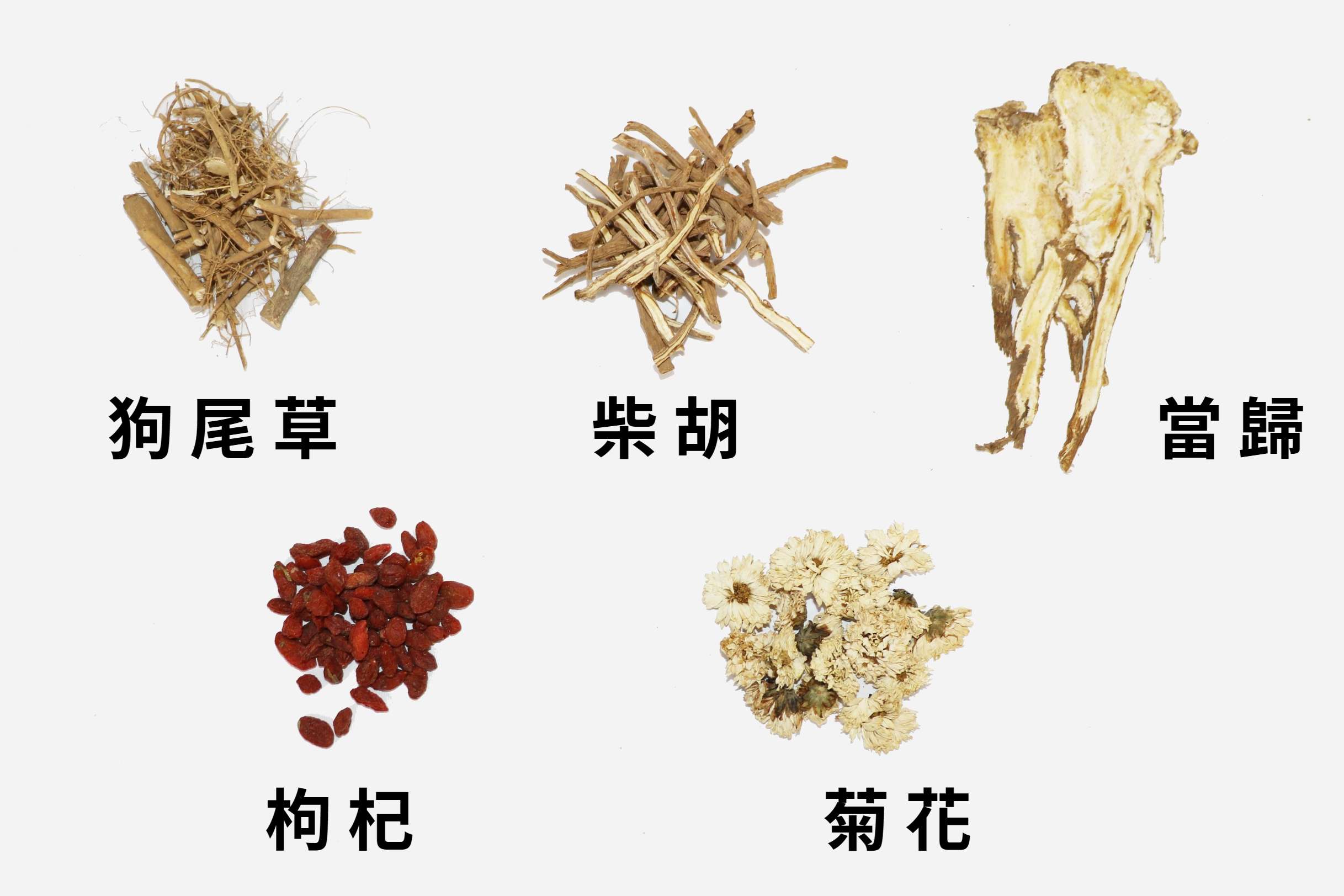 轉骨方常用藥材 0