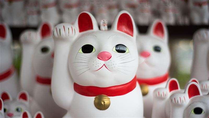 4生肖準備迎接好運 小確幸將接踵而來