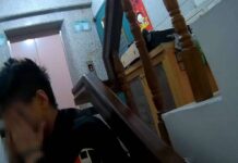 桃園通緝犯逃跑竟得意歡呼 下秒遭警噴辣椒水狼狽落網